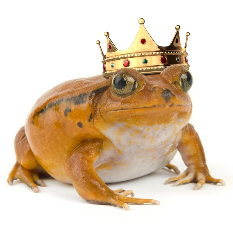 El Moviment Ondulatori tweet media