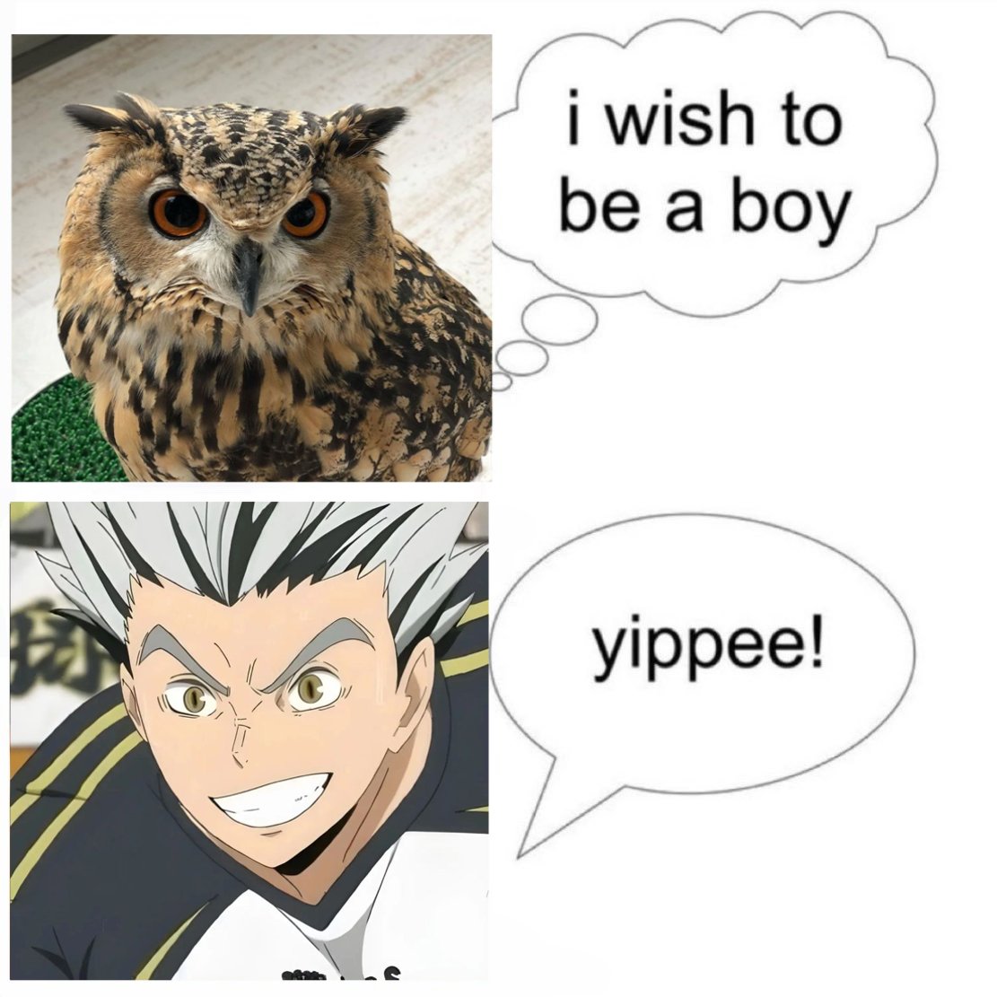 Lep 💤 tweet media