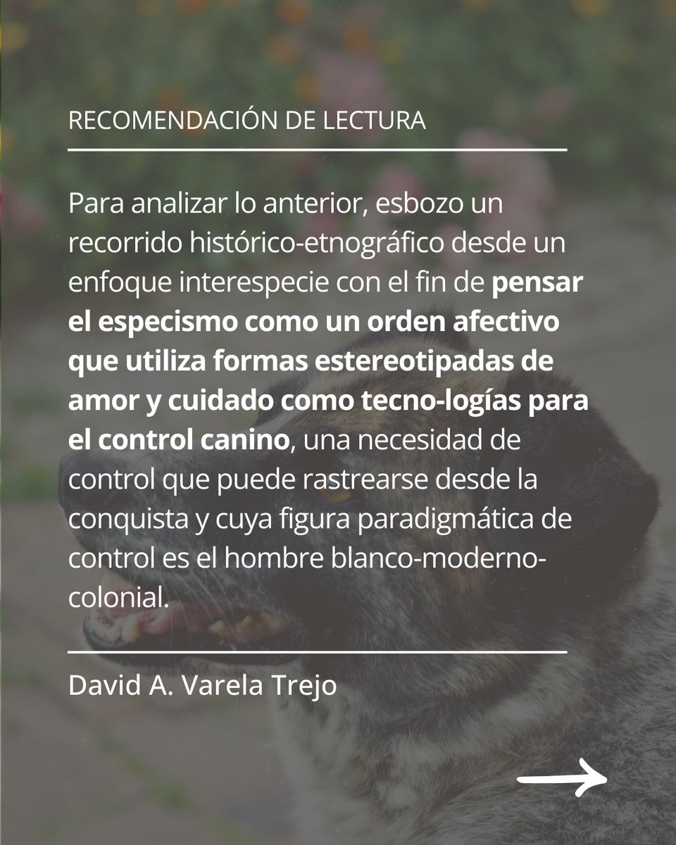 Recomendación de lectura 🍀🐾

Canidad: rastros coloniales y blanquidad en las relaciones multiespecie perro-humano

Texto completo aquí: revistatabularasa.org/numero51/canid…