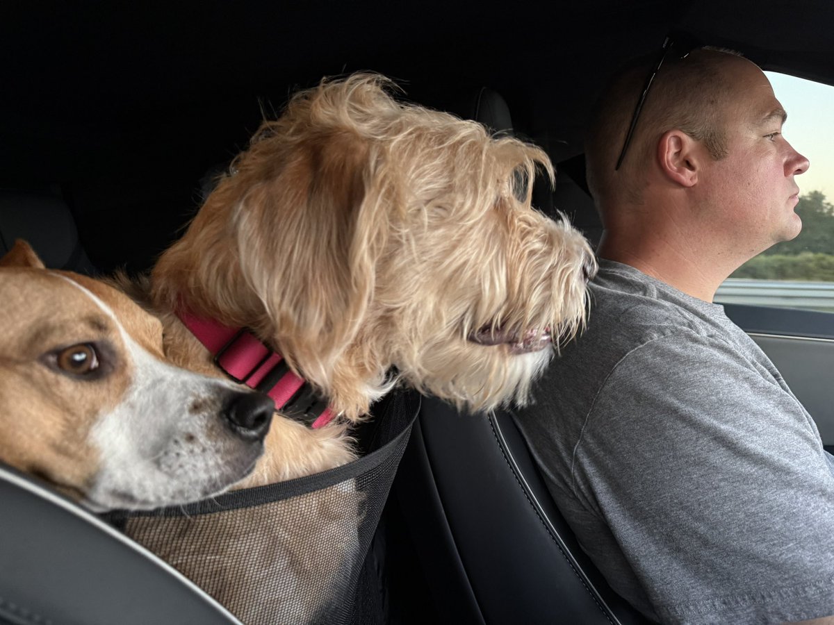 Tesla Zach ⚡️ tweet media