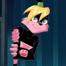 The D’Coolettes 🇺🇸 tweet media