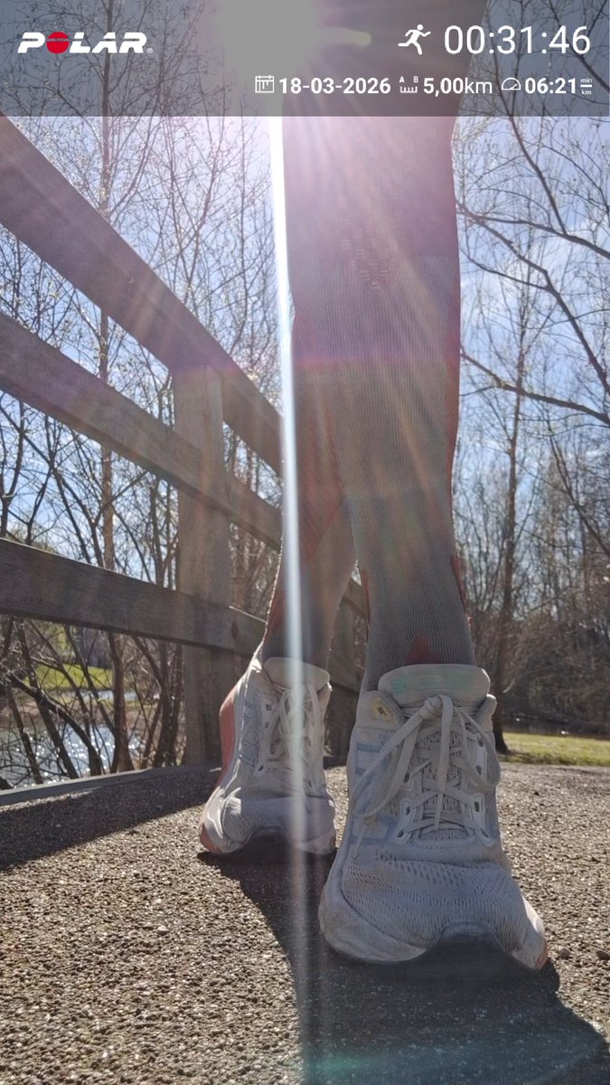 Dieneke 🏃♀️🚴♀️🏋️♀️ tweet media