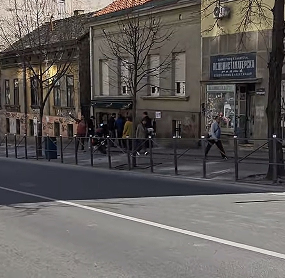 Milica Nisić tweet media