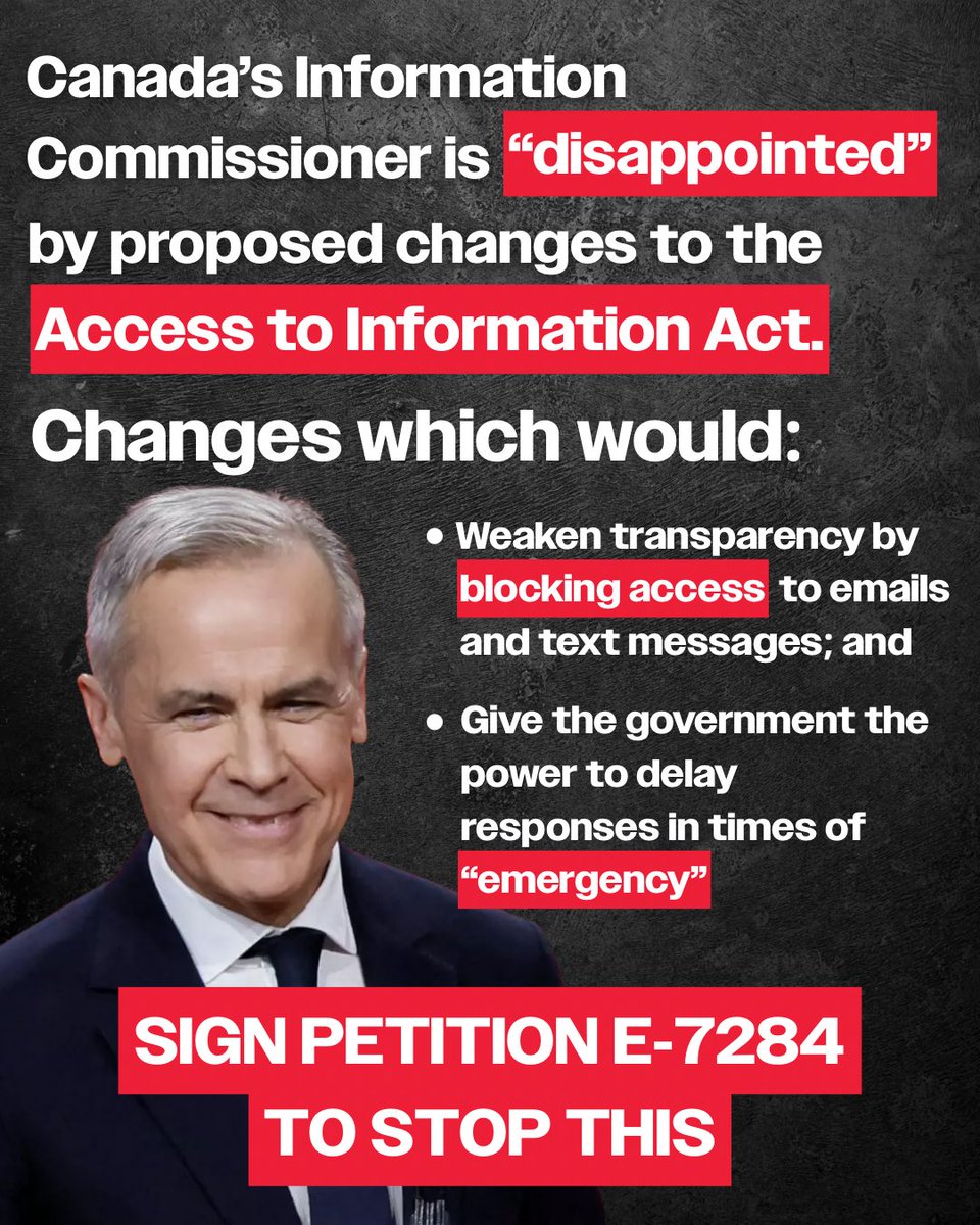 Stephanie Kusie tweet media