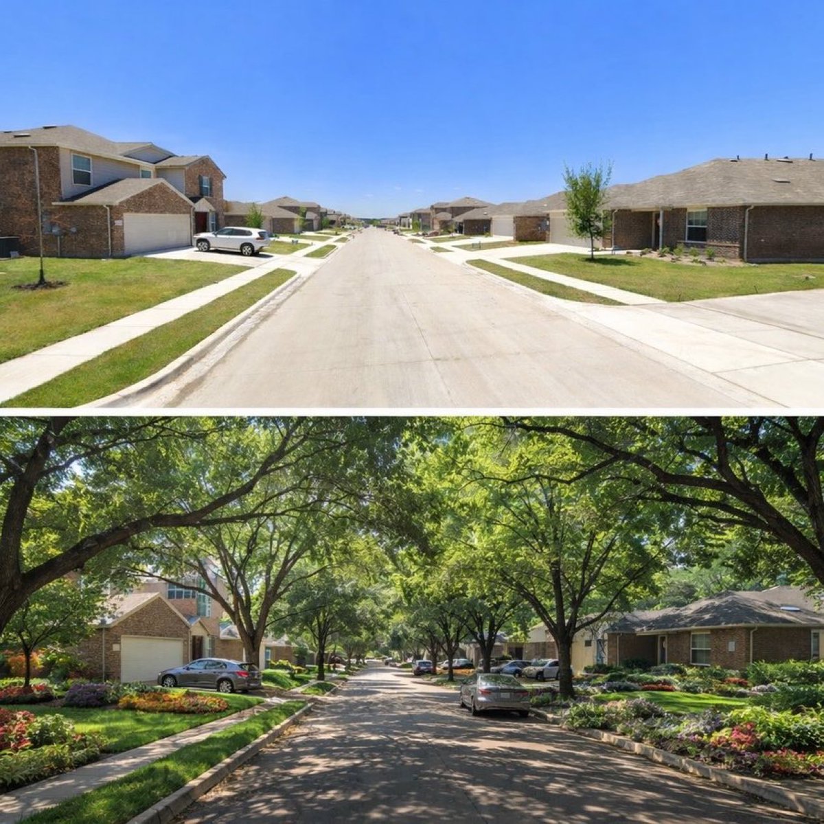 Science girl tweet media