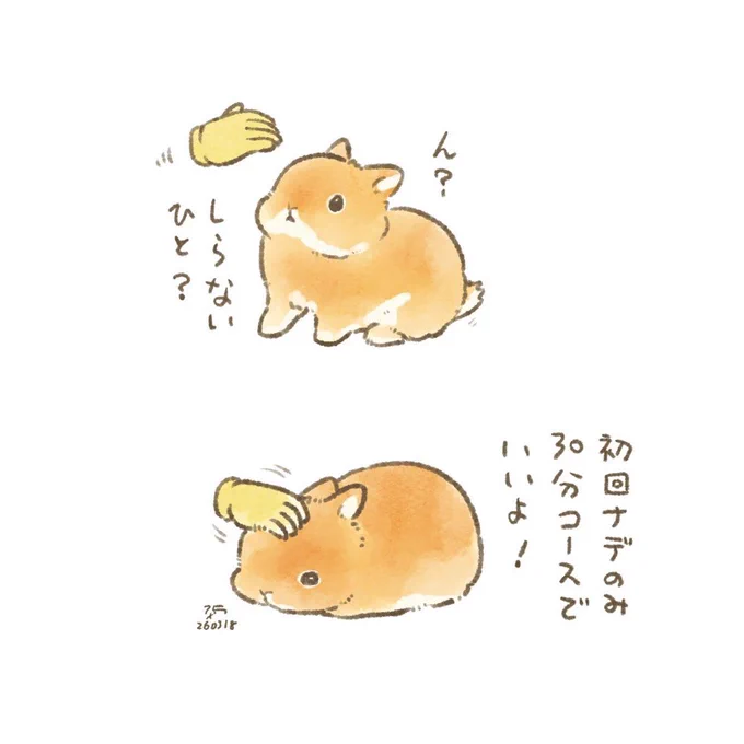 🐰常連さんは2時間コース(おやつ必須)からです! 