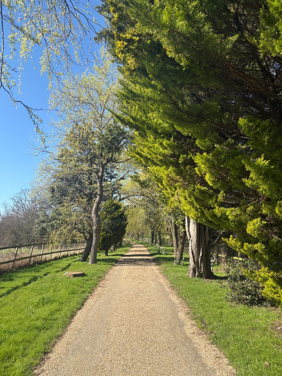 Achilles tweet media