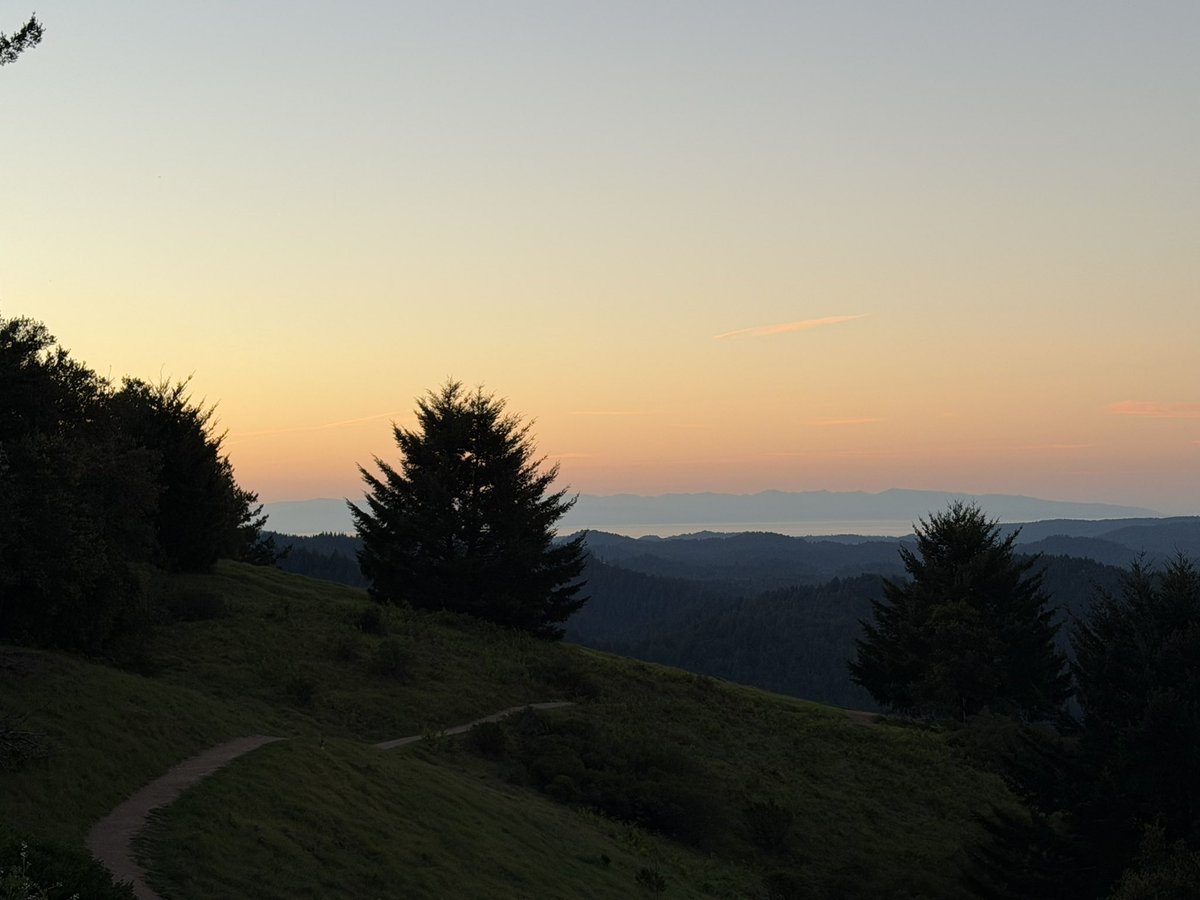 Richard Burton tweet media