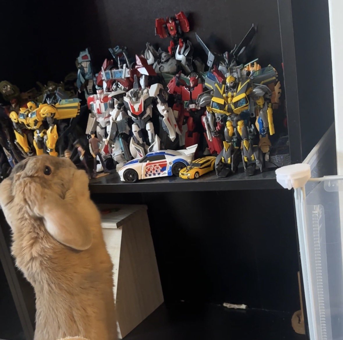 Hightail Creations tweet media