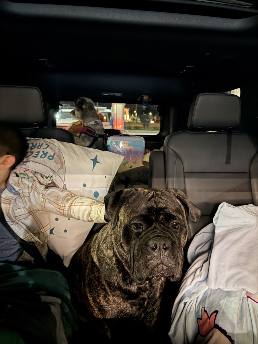 Justin Reasoner tweet media