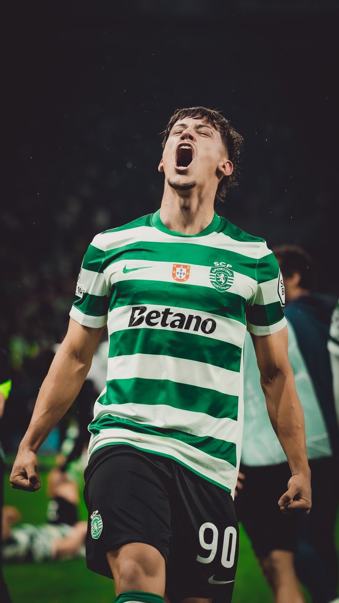 Maciej Rogowski tweet media