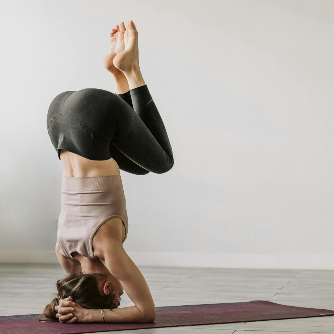 The Oak Circus Centre tweet media