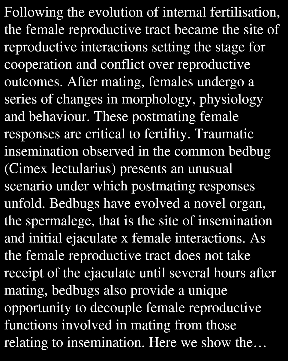 Evolutionary Biology tweet media