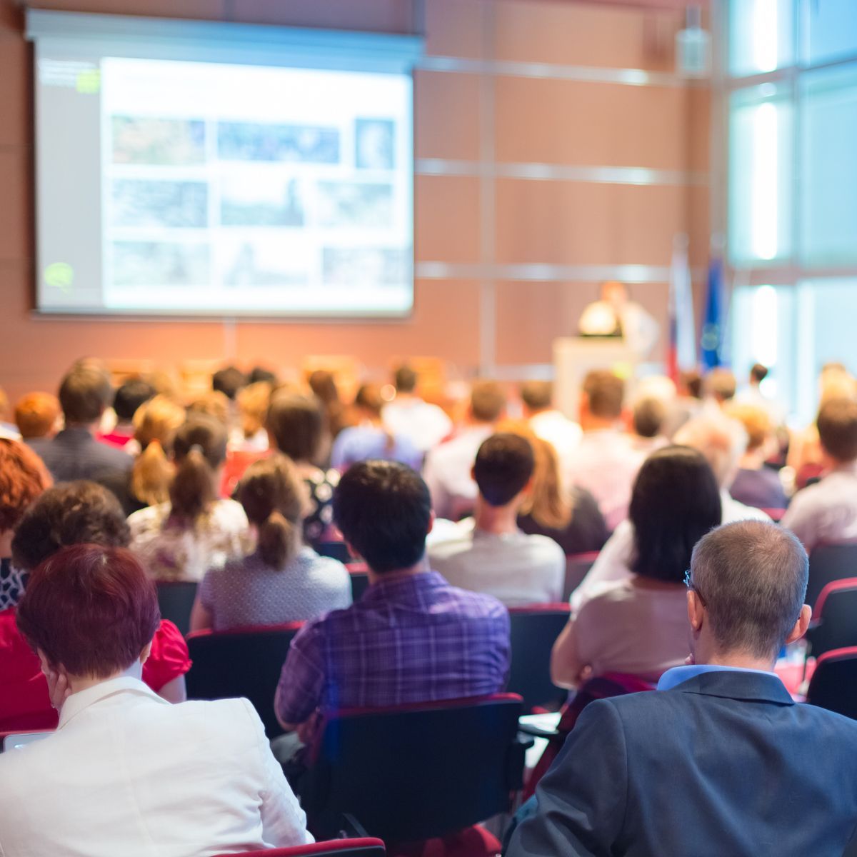 MUSE International tweet media