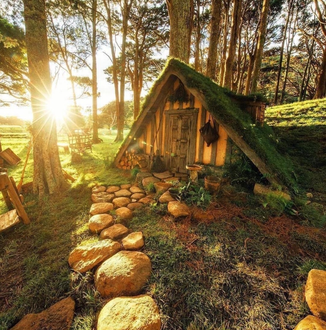 The Last Homely House tweet media