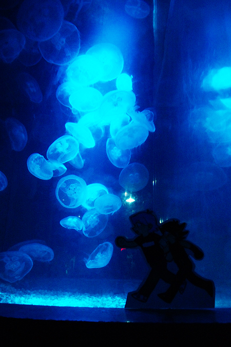 chocolate巧巧 tweet media