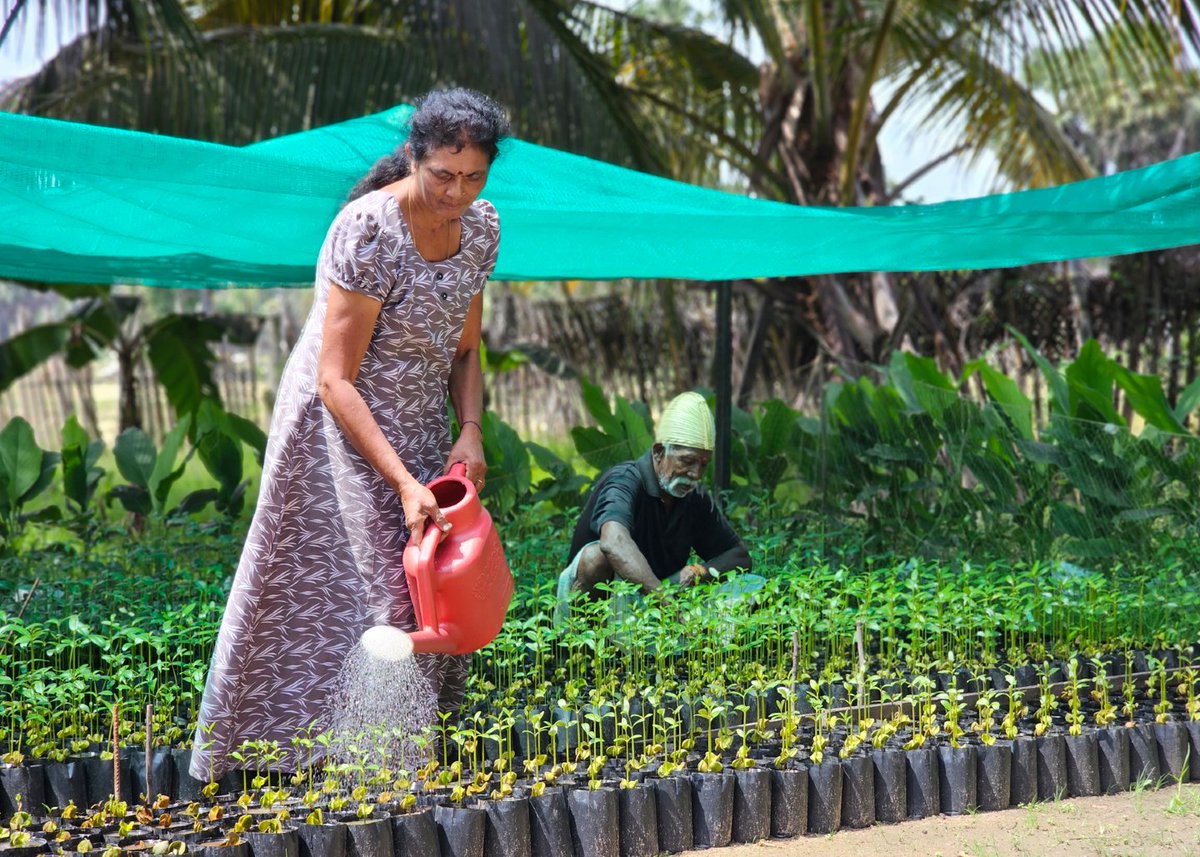 Adaptation Fund tweet media