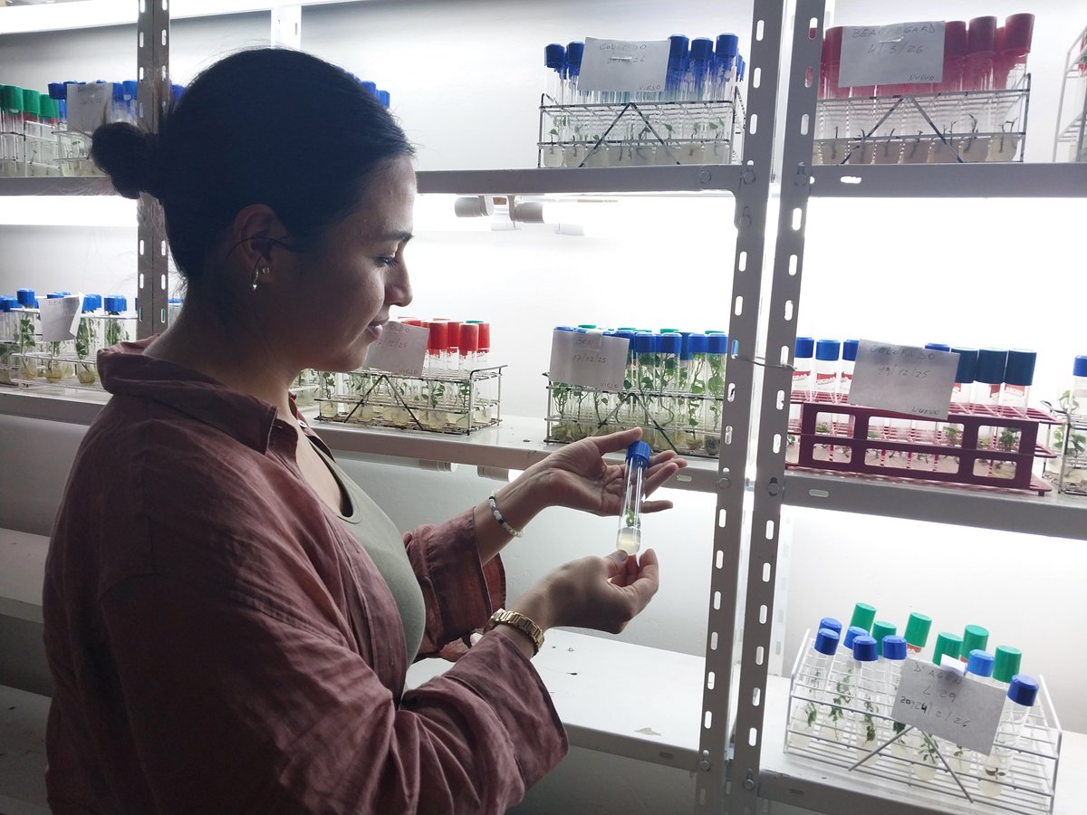 INTA San Pedro tweet media