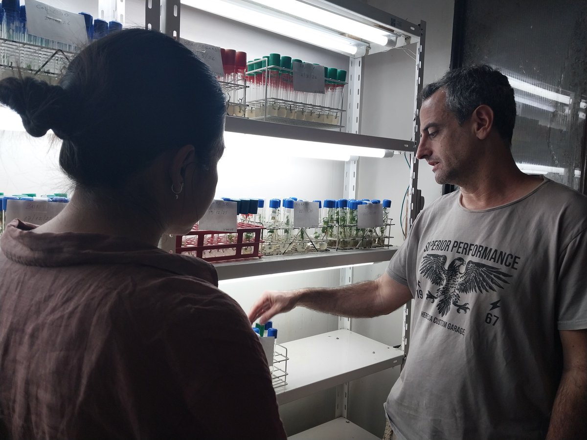 INTA San Pedro tweet media