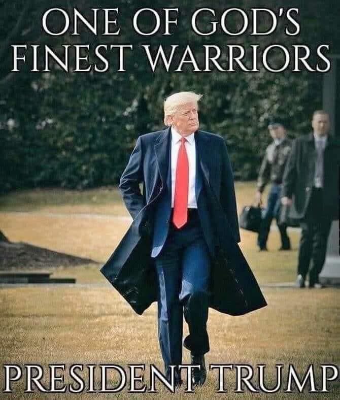 Estevan Belo tweet media