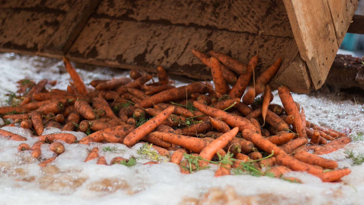 Wyma Solutions tweet media