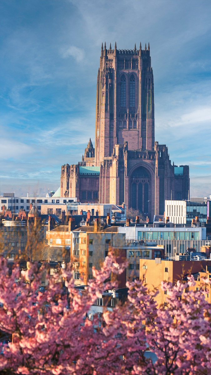 Liverpool Vista tweet media