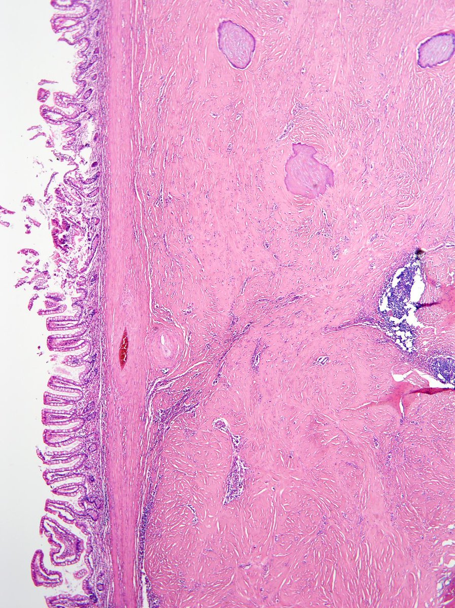 Charlie Herndon tweet media