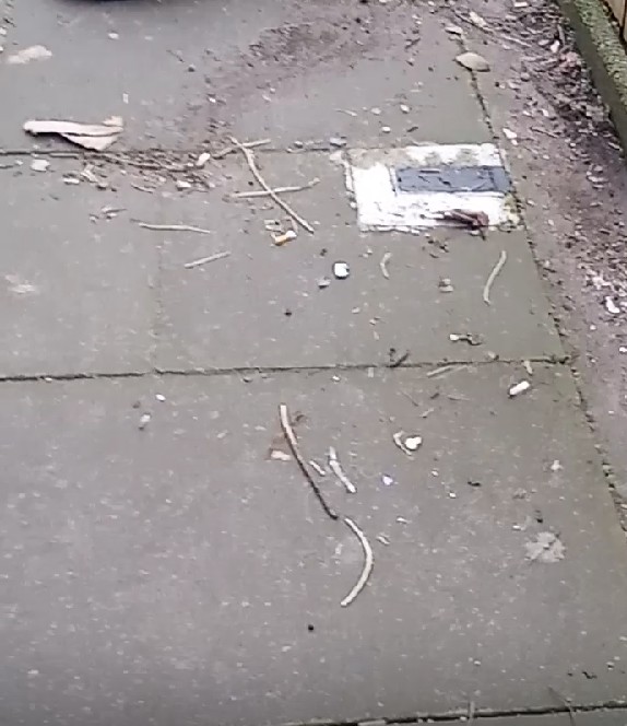 Brother Kenneth The Splendid tweet media