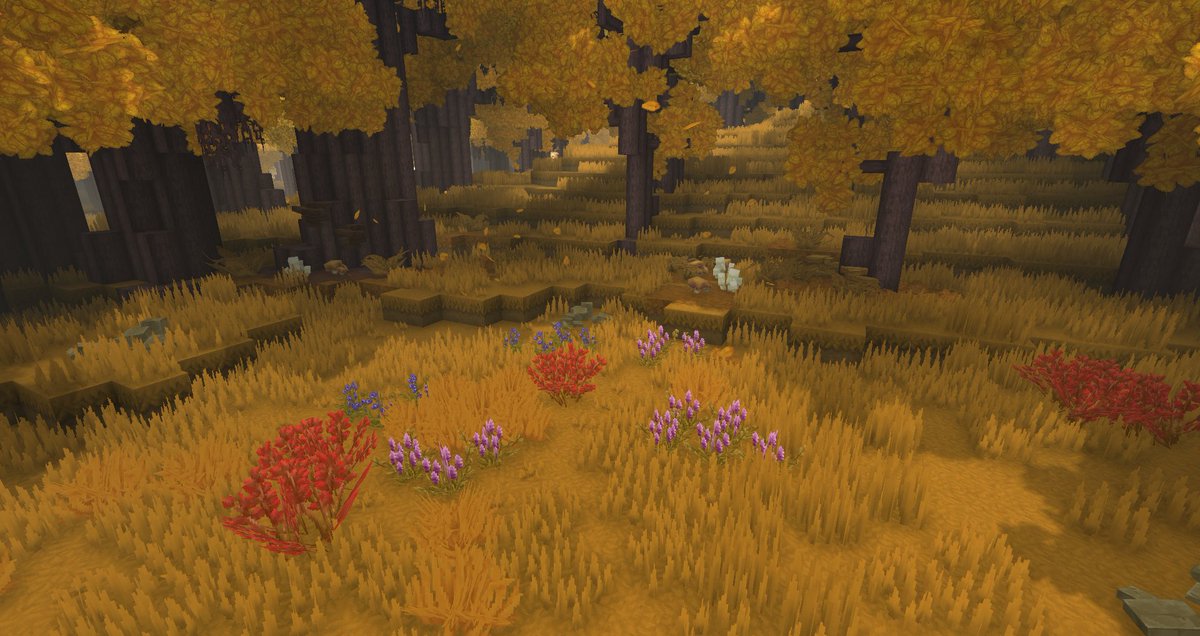 Anderssn Builds tweet media