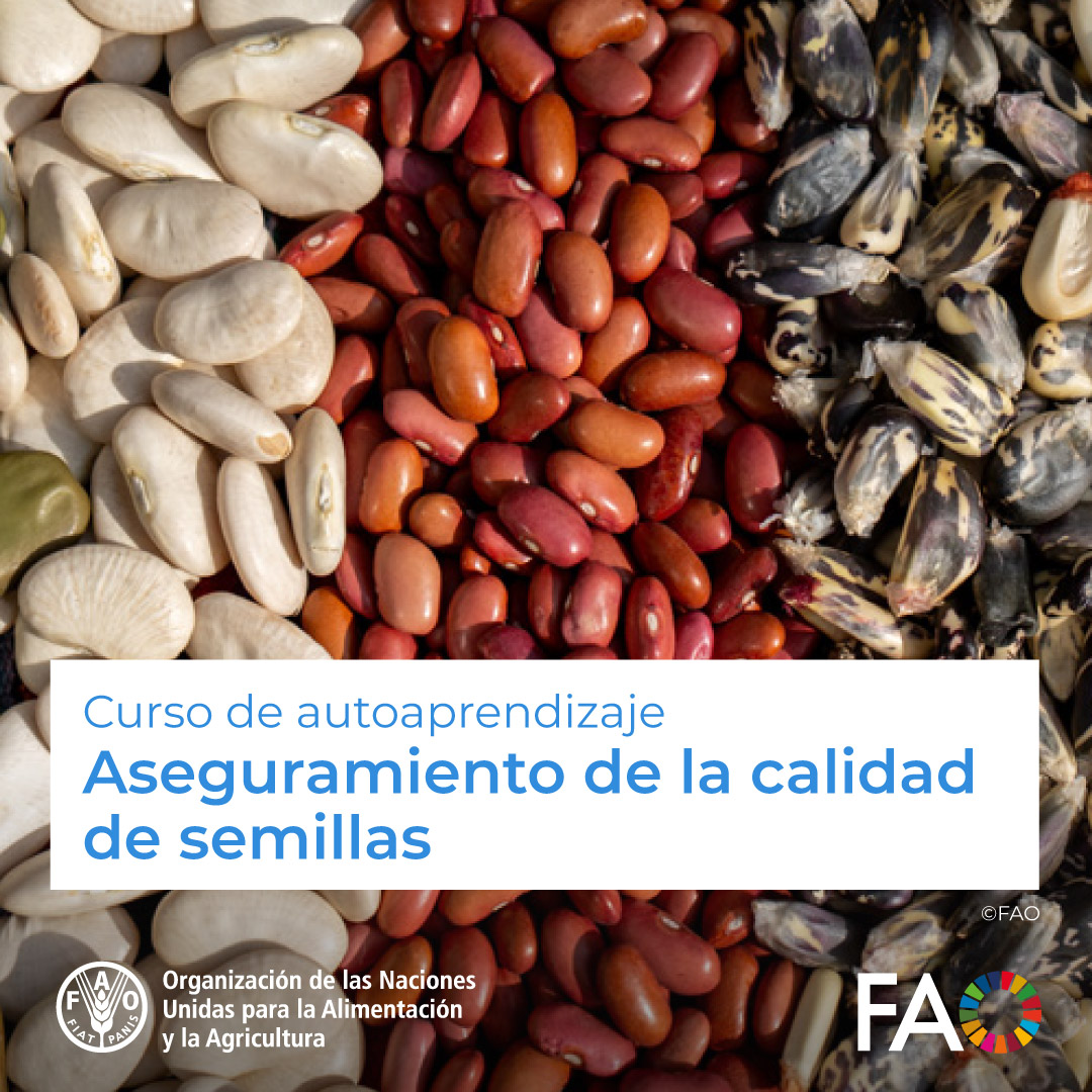 FAO Américas tweet media