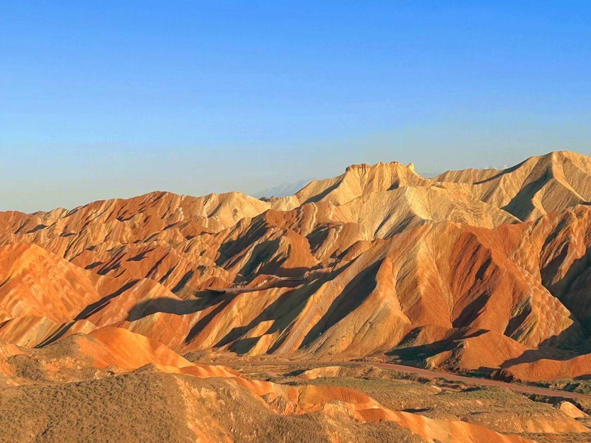 palisher t. Johnson tweet media