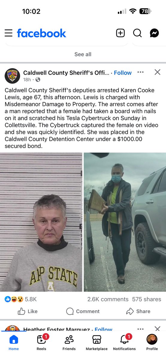 Lady.Zone tweet media