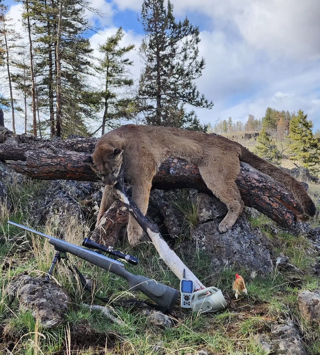 FOXPRO Inc. tweet media