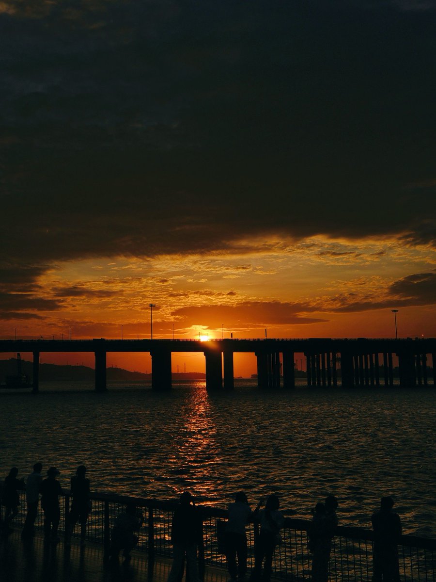 Tom Conefrey tweet media