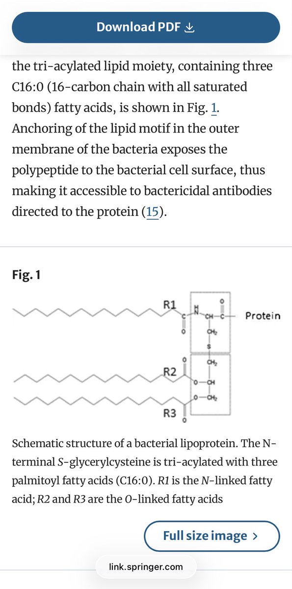 TruthCures tweet media