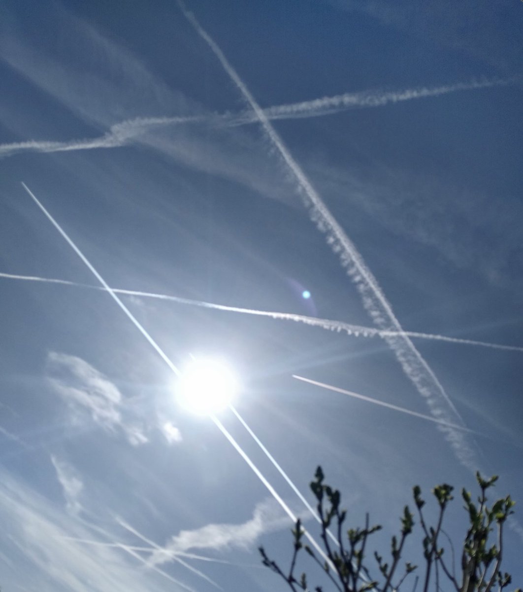 TheEndOfEverything tweet media