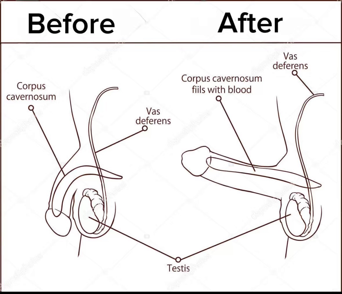 TheBetterPath tweet media