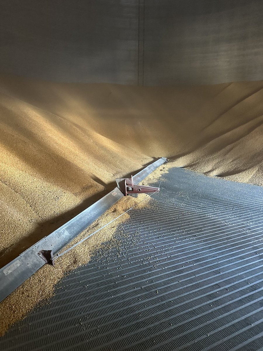 Jay Sorg tweet media