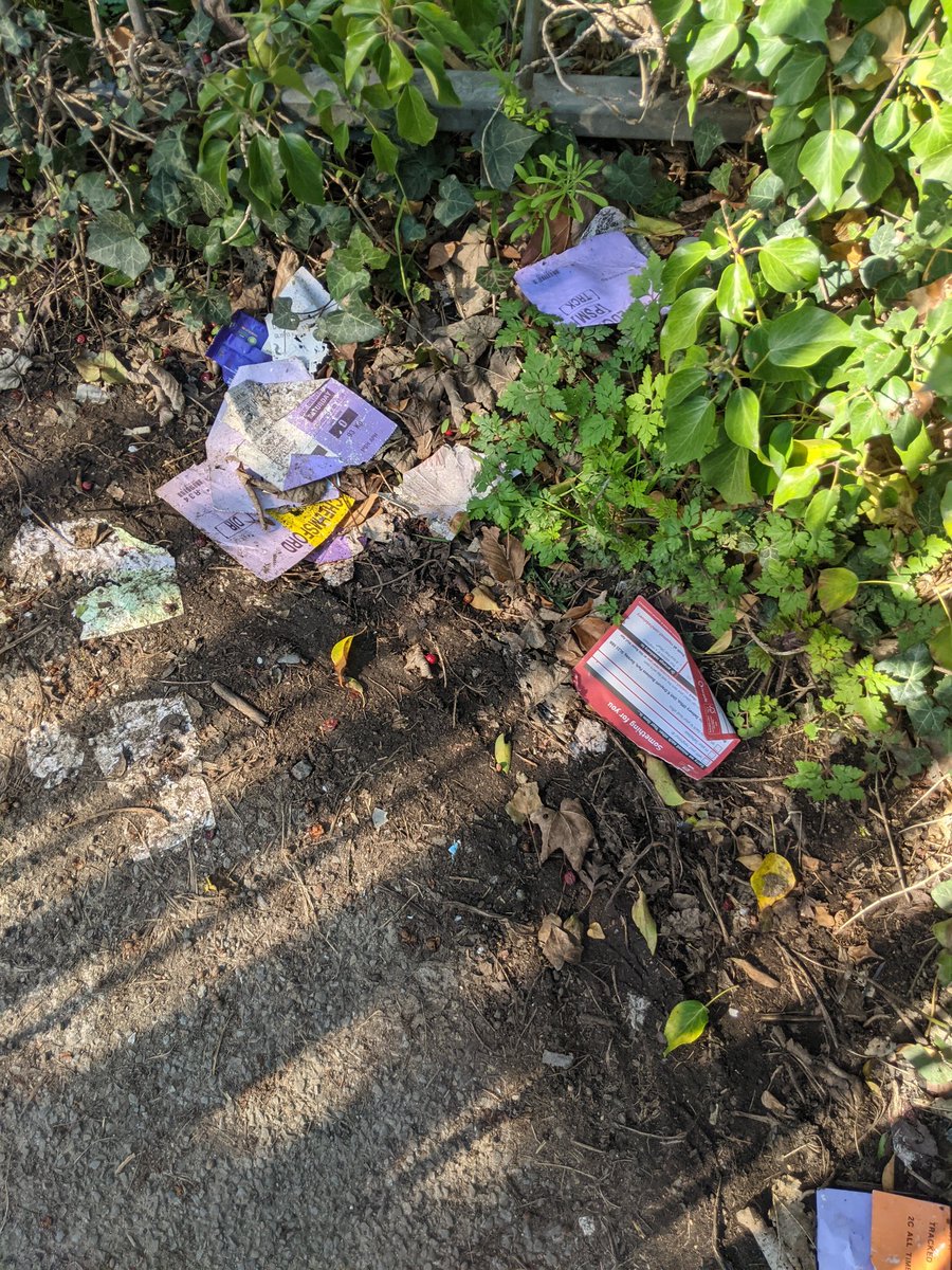 Eric Torrington tweet media