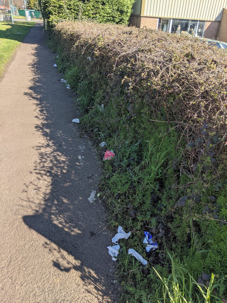 Eric Torrington tweet media