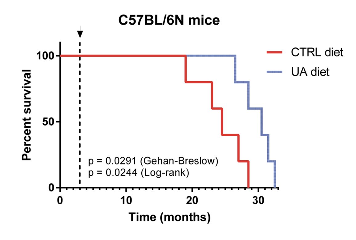 Dalton (Analyze & Optimize) tweet media