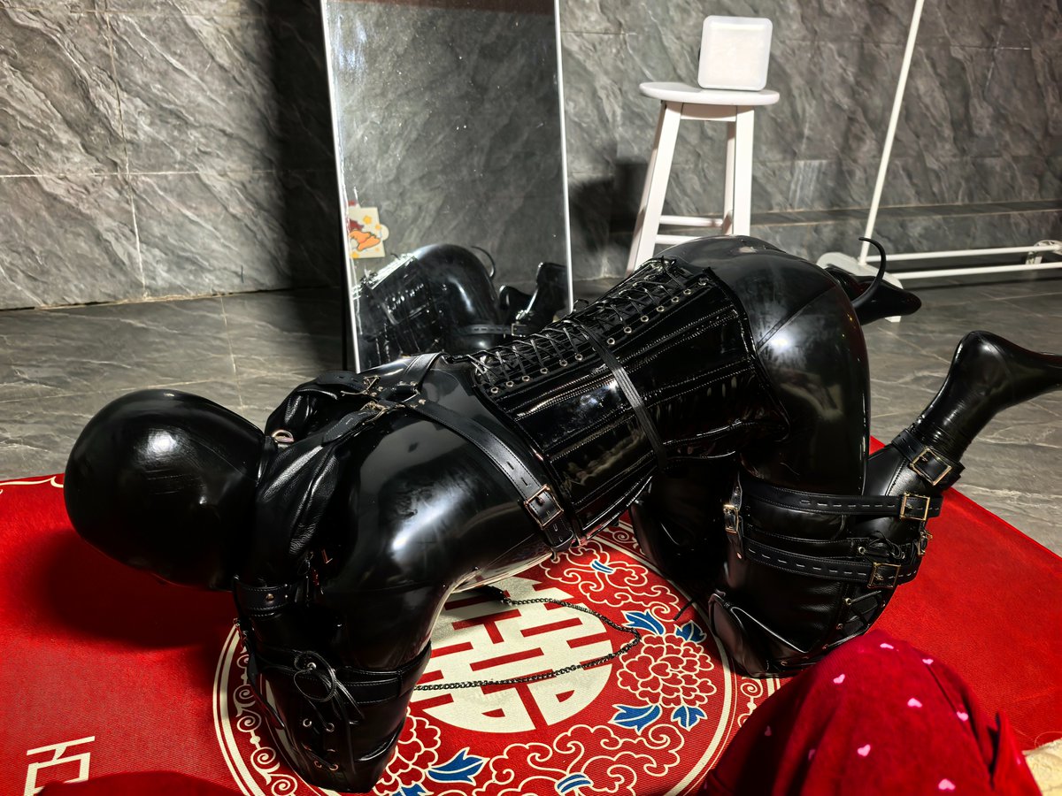 粥粥饲养圆 tweet media