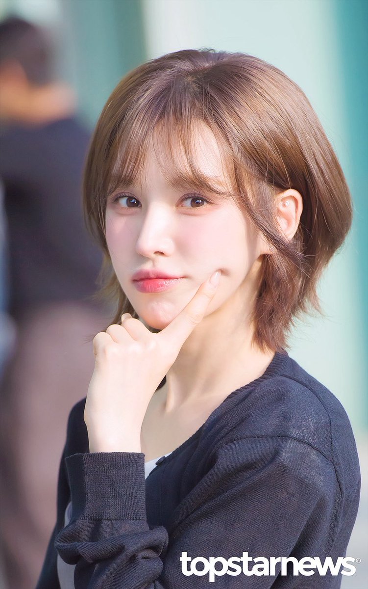또또 tweet media