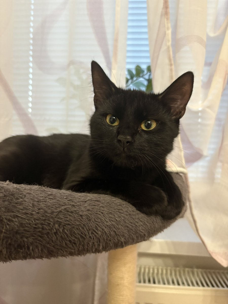 𝖆𝖗𝖎 ˖♡⁺ tweet media