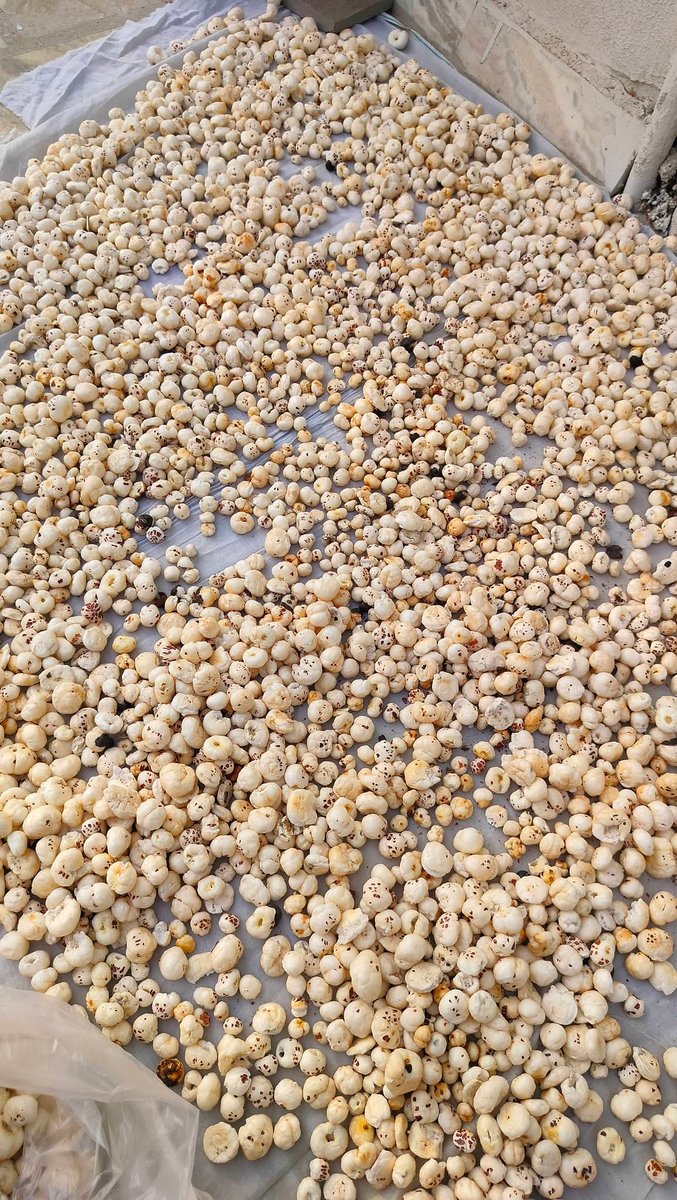 😊 NiTu 😊 tweet media