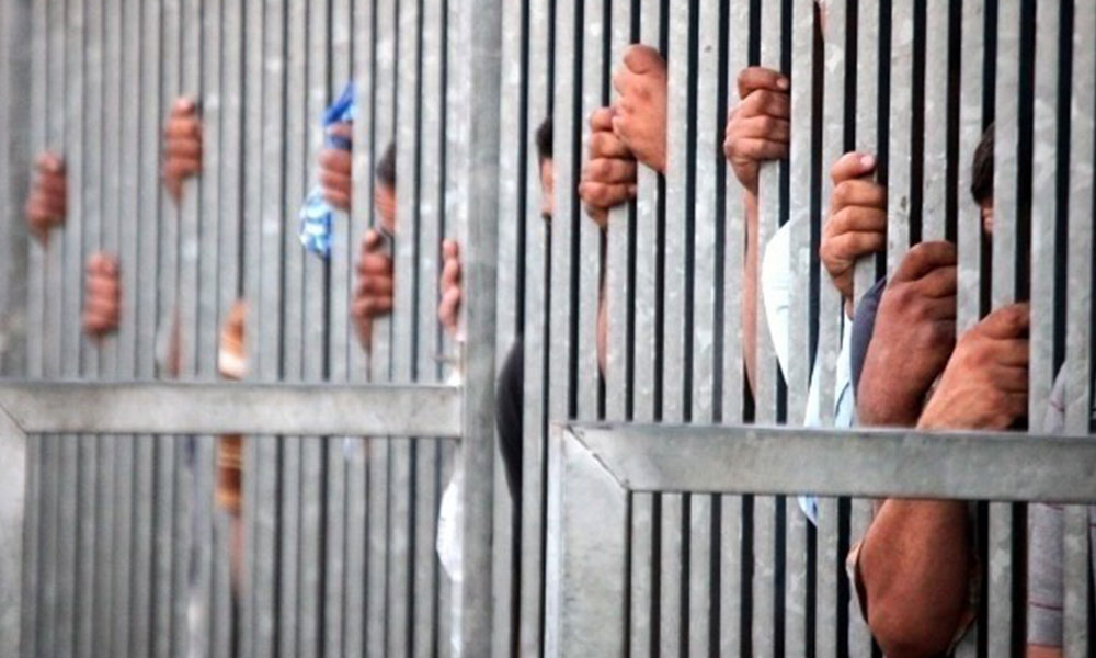 نضال لأجل الانسان tweet media