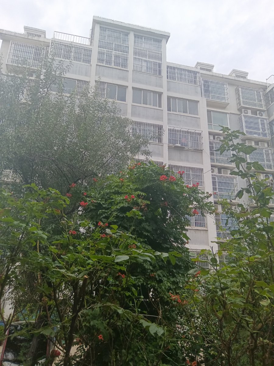 Andrée-Anne Côté tweet media