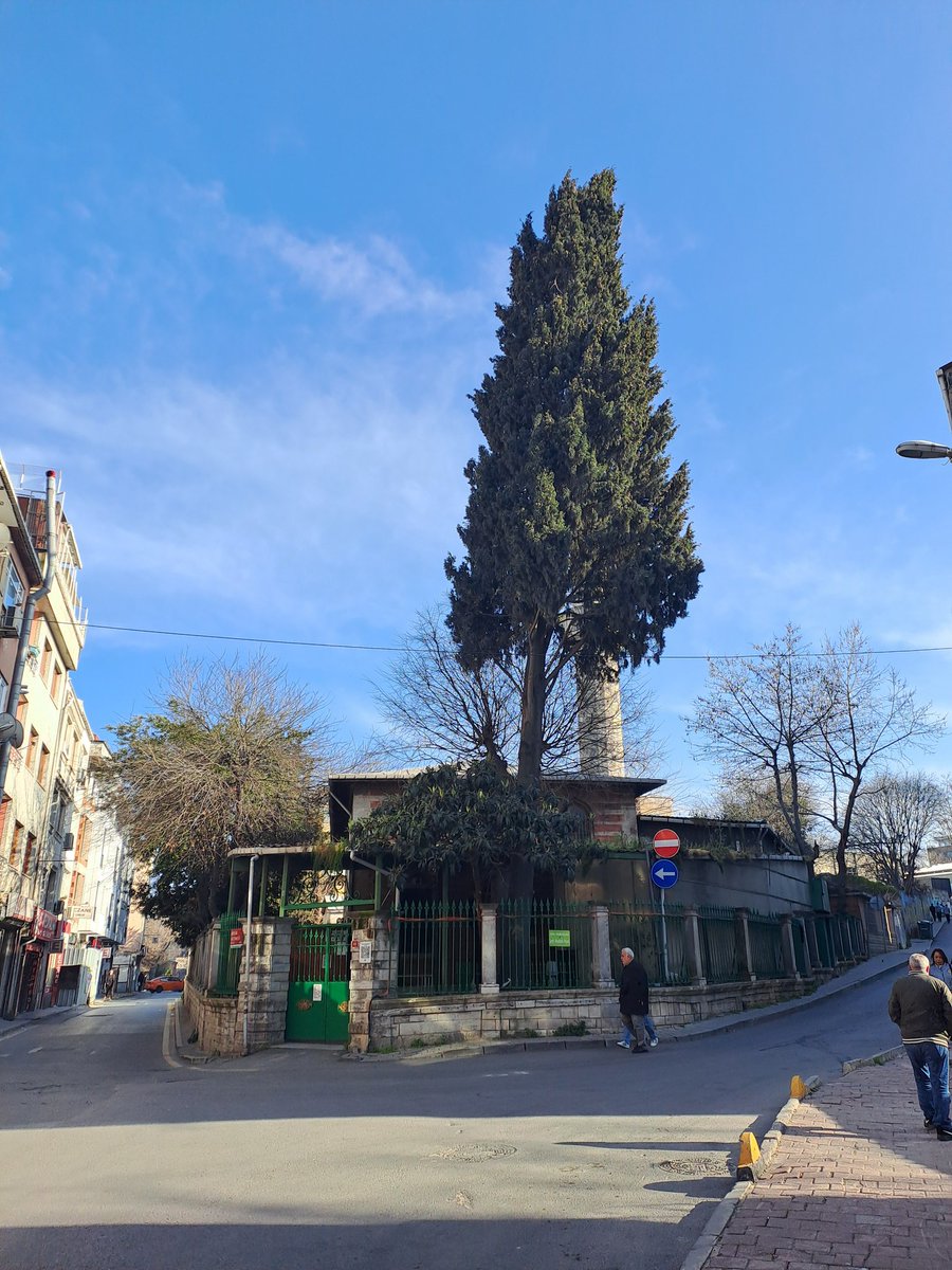 Berk Erkent tweet media