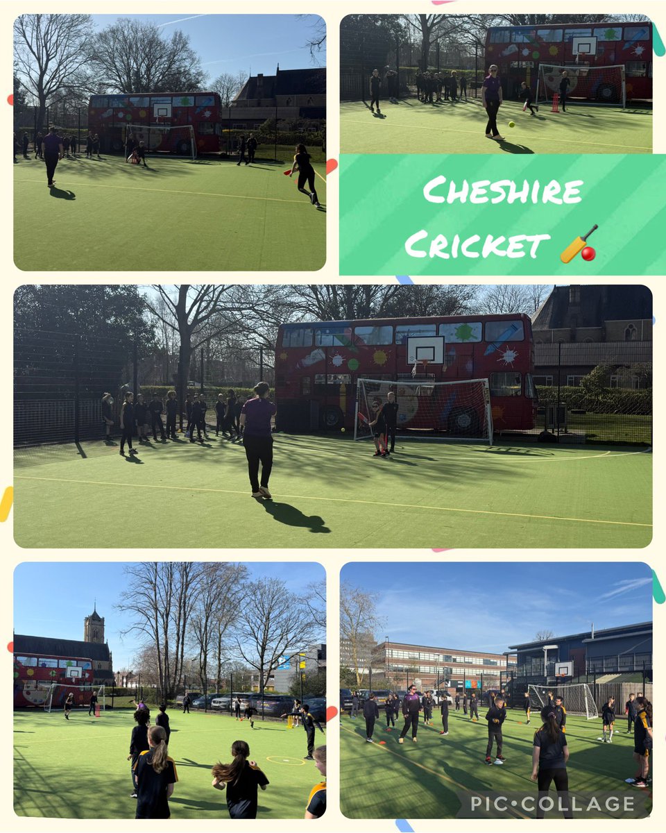 SpringfieldPrimary tweet media