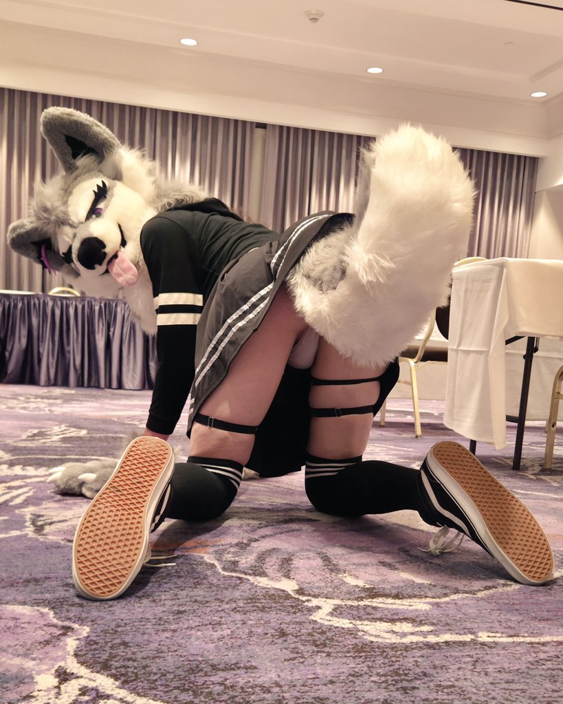 JessKitty🔜TFF tweet media